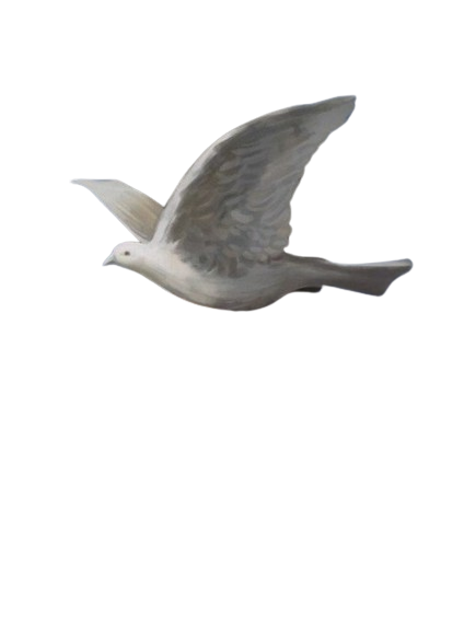 Peace Dove